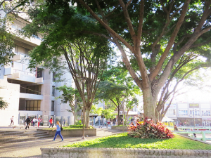 Socil-Guarantee-plaza