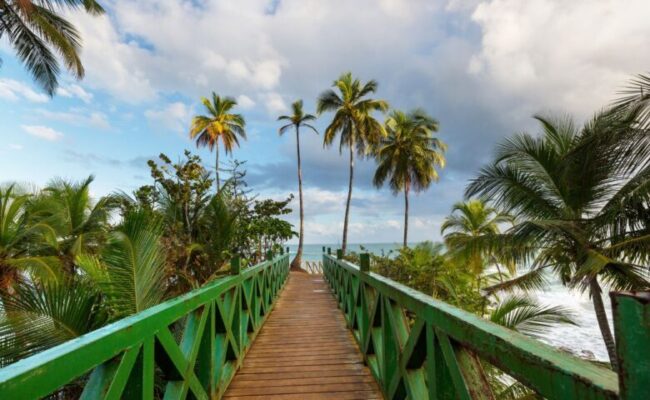 Feature imagen Caribbean Tours