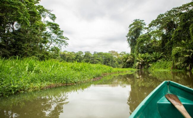 Caribbean Tours Caribbean Tours