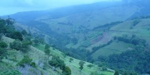 countryside-237916_960_720-300×225