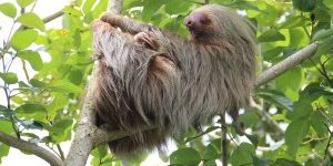 Private Tours in Puntarenas - Gio Tours