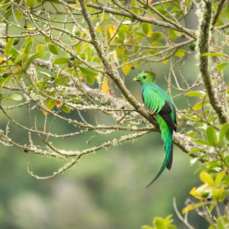 Pacific Coast Shore Excursions in Costa Rica