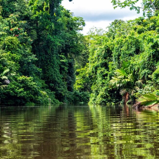 Tortuguero Rainforest Canals (3)