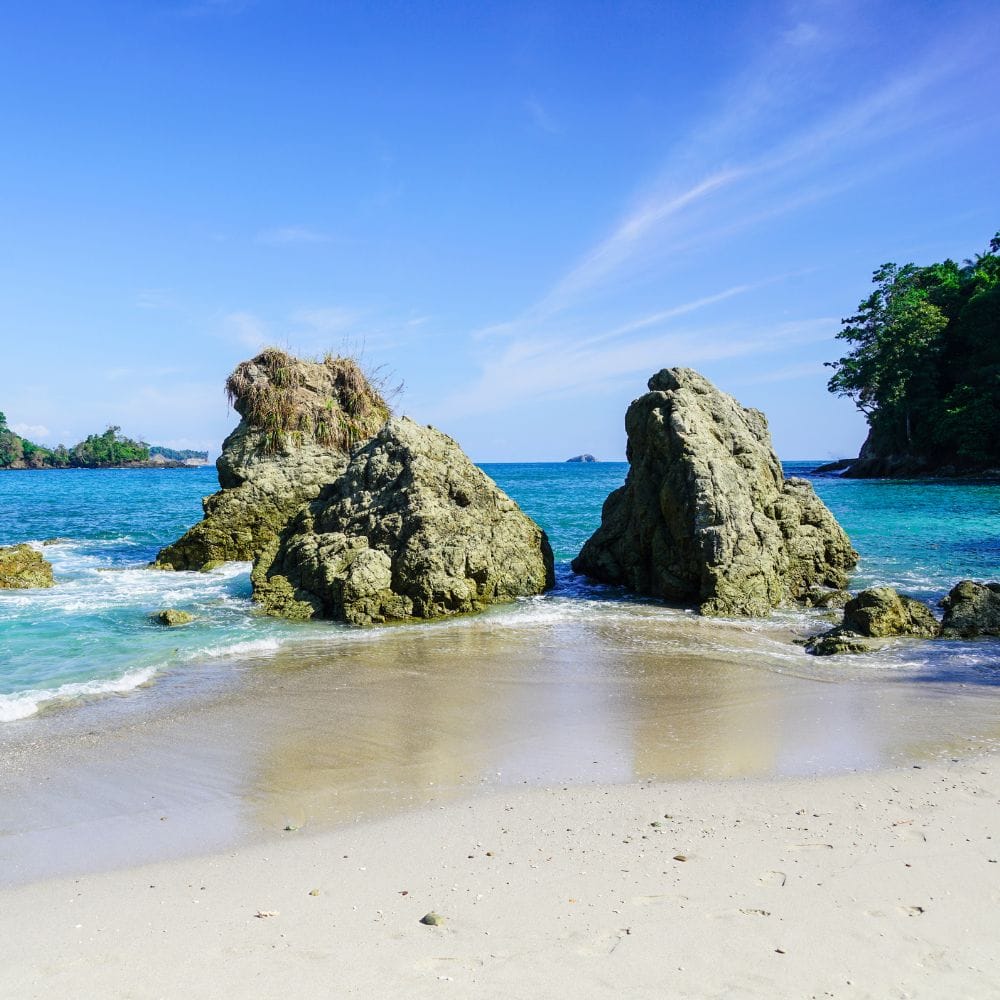 Brett Gardner's Son’s Death Shocks Manuel Antonio Community