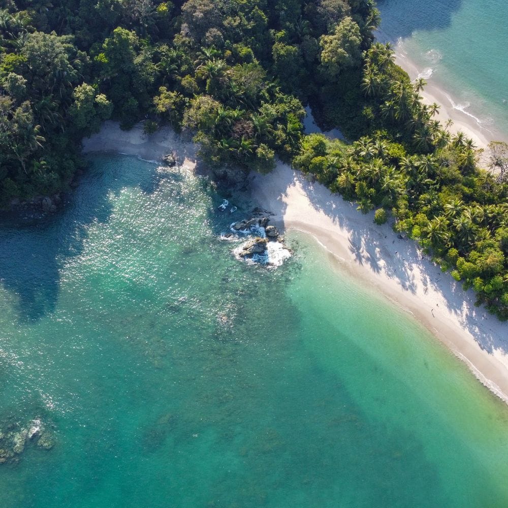 Brett Gardner's Son’s Death Shocks Manuel Antonio Community