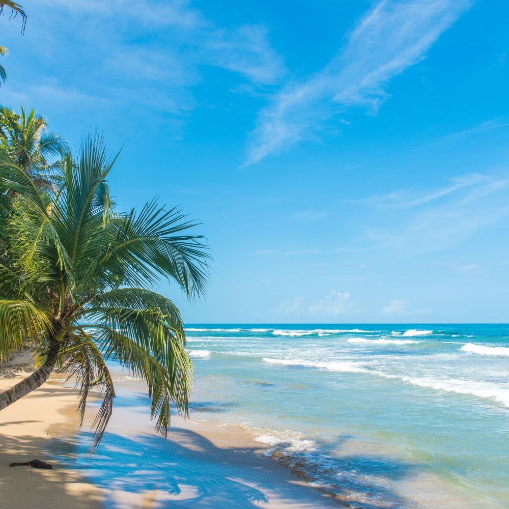 Caribbean Coast Shore Excursions in Costa Rica
