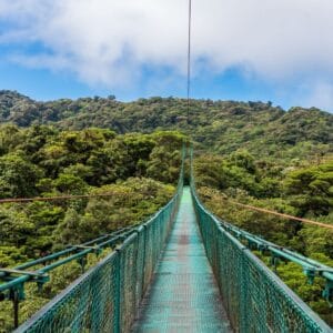 Monteverde Cloud Forest Shore Excursion with coffee tour