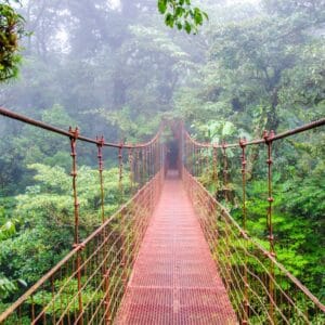 Monteverde Cloud Forest Shore Excursion with coffee tour