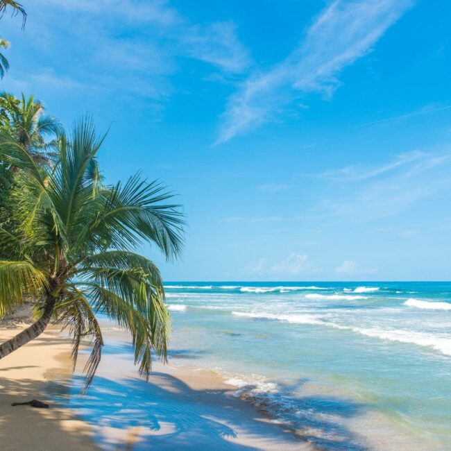 Is Costa Rica safe in 2025 (2) safety in Costa Rica in 2025