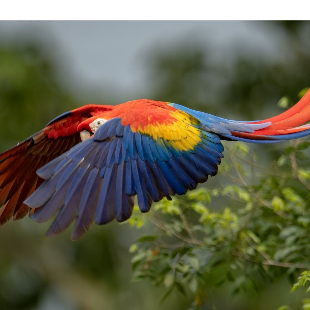 Is Costa Rica safe in 2025