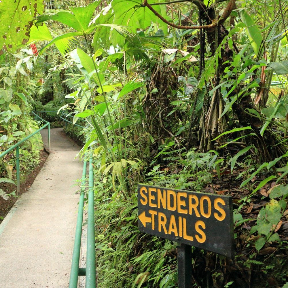 Pacific Coast Shore Excursions in Costa Rica