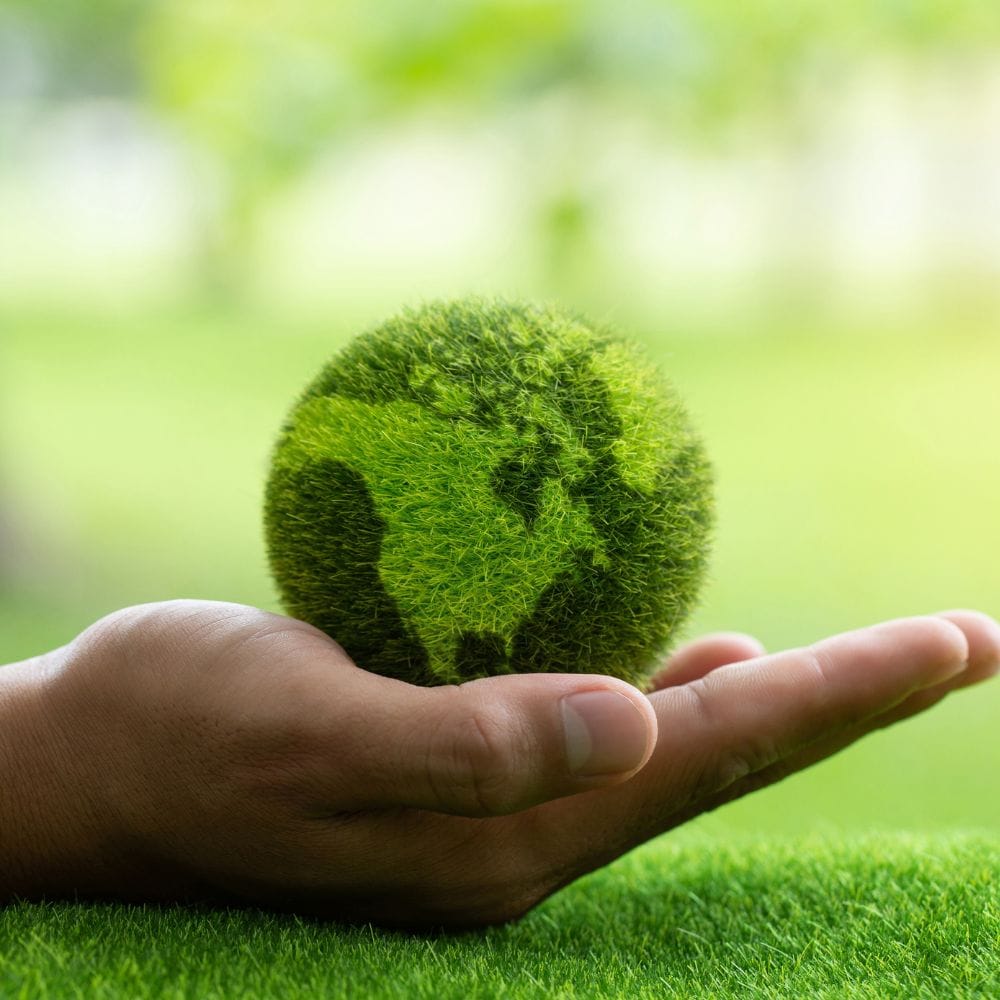 Private Shore Excursion in Costa Rica