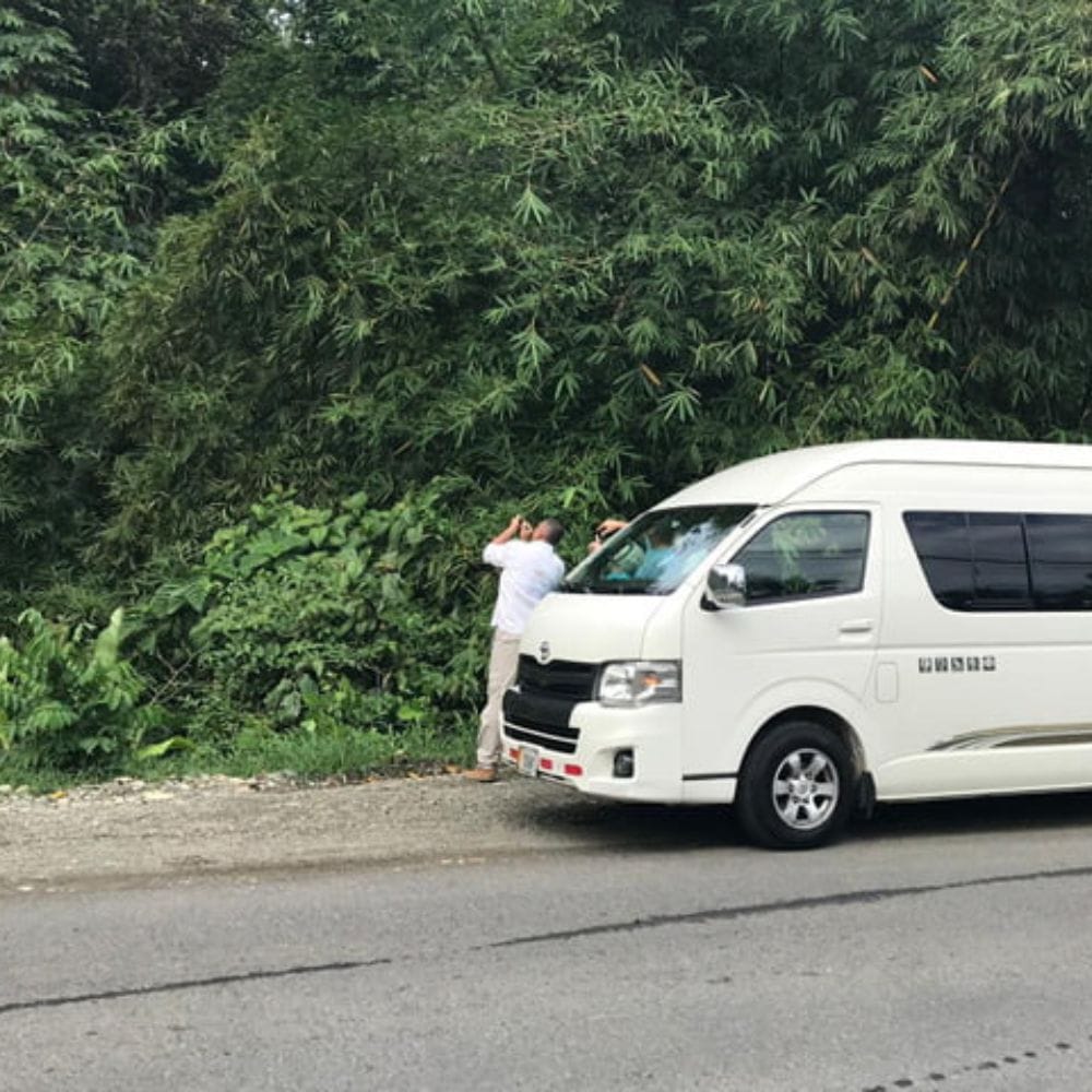 Private Shore Excursion in Costa Rica  Private Shore Excursion in Costa Rica