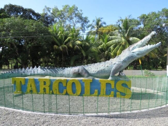 Tárcoles River Boat Tour