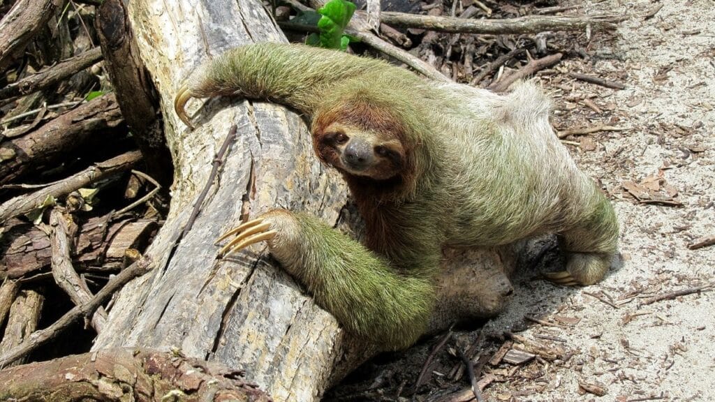 Sustainable Tourism in Costa Rica