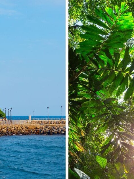 Costa Rica Coasts Differences and Similarities