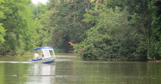The Caribbean Coast of Costa Rica (3)