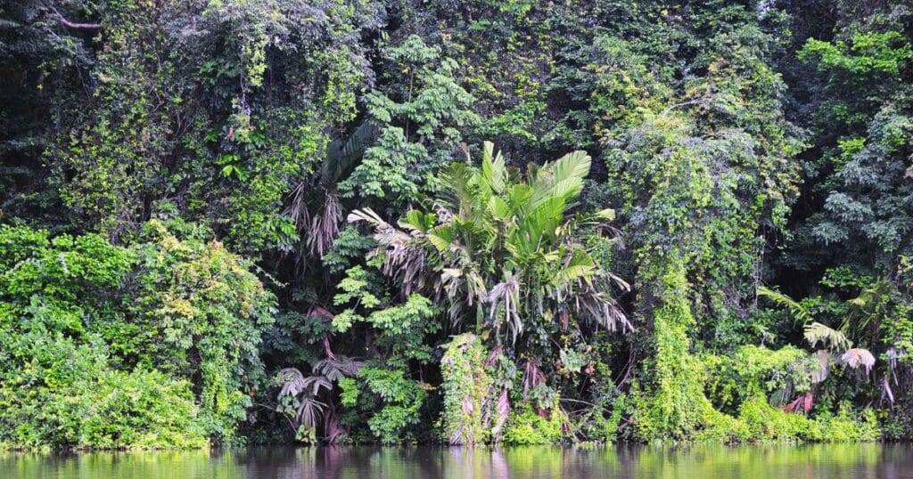 The Caribbean Coast of Costa Rica | Costa Rica's Caribbean Coast