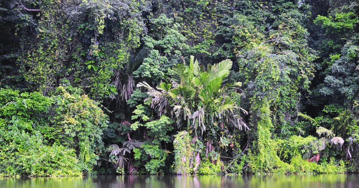 Discover the Caribbean Coast of Costa Rica: An Underrated Gem