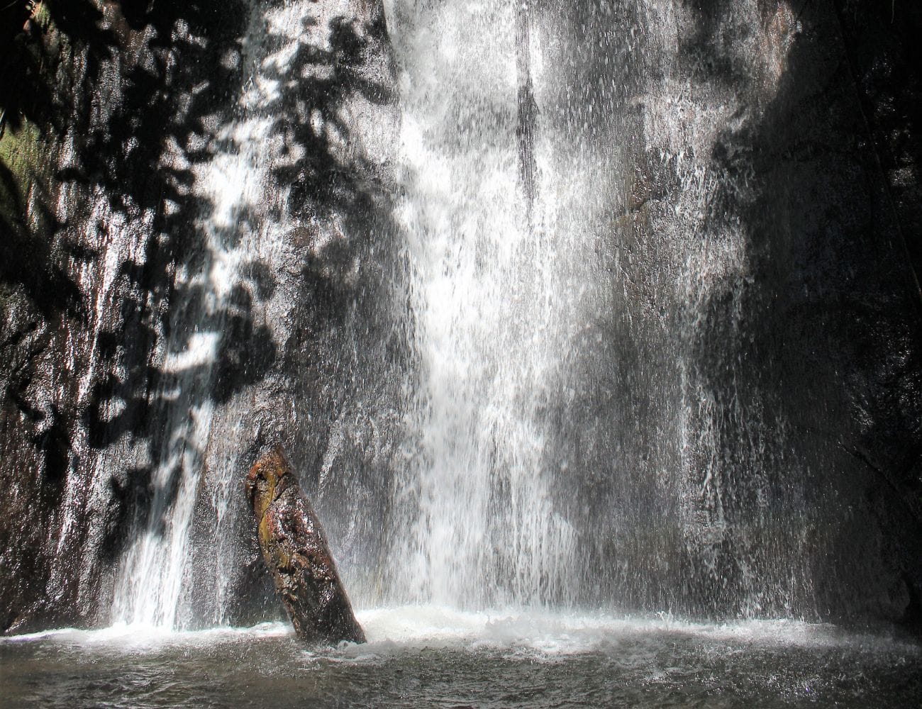 Guanacaste luxury transportation