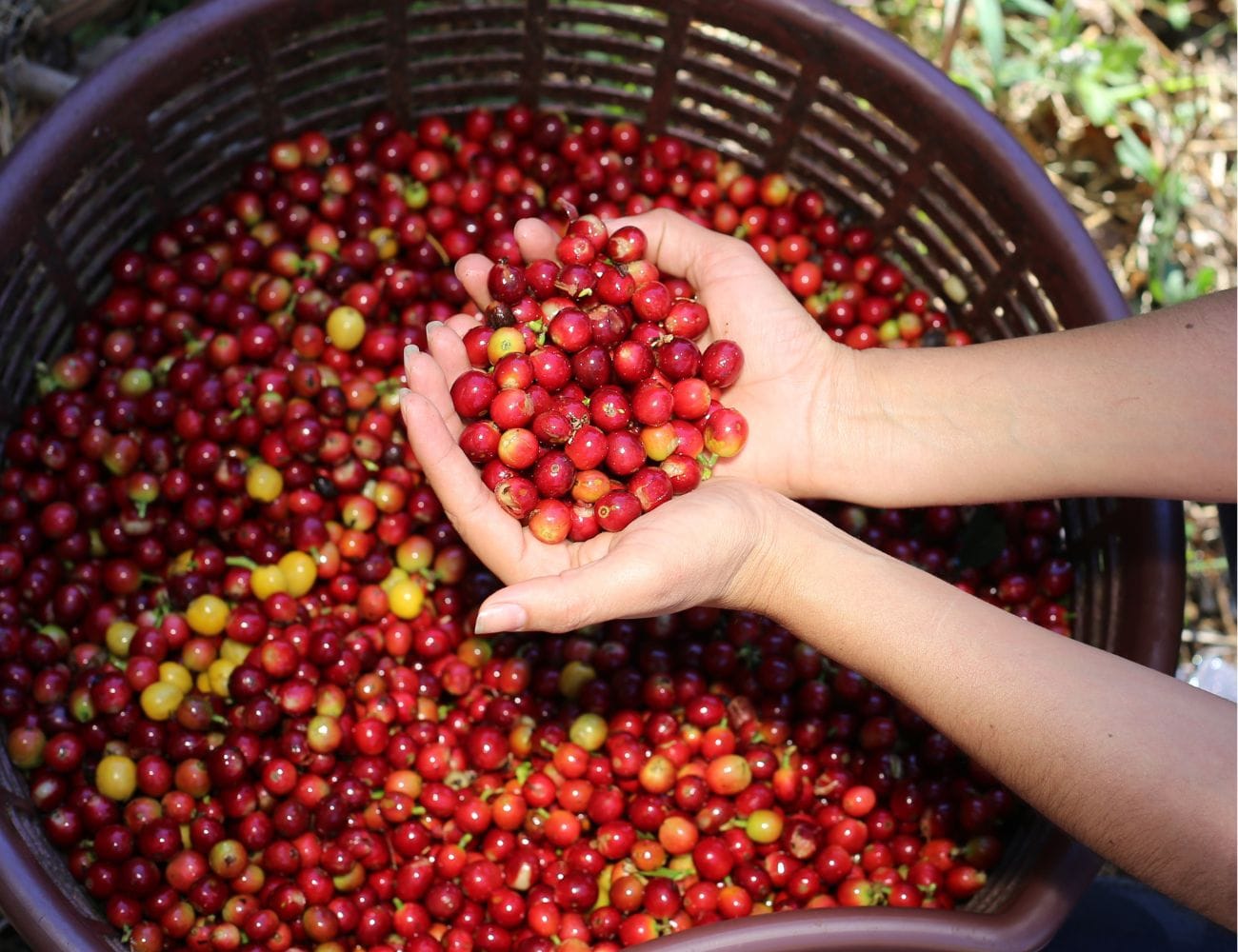 Is Costa Rica safe to visit for Americans